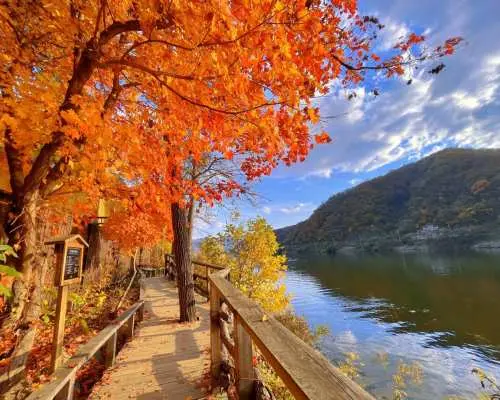 秋日限定 | 雪嶽山賞楓 自選 新興寺 / 南怡島 一日遊 / 束草海水浴場、觀光水產市場、足浴公園、雪嶽山纜車｜首爾出發