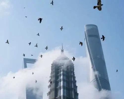 【客制化多日包车】中国杭州、苏州、上海、乌镇等江浙沪地区全客制化DIY自由行