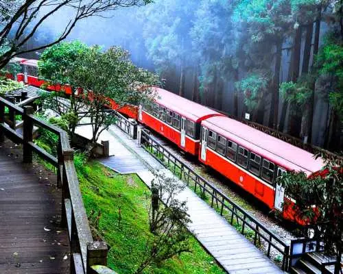 阿里山森林铁路的红色火车蜿蜒穿梭于苍翠山林间，旁边是木栈道，嘉义包车一日游轻松欣赏这经典美景。