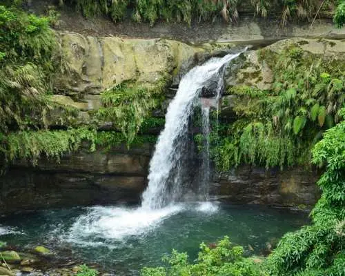 观音瀑布清澈水流自岩壁倾泻而下，汇入碧绿潭水，周围被茂盛绿意环绕，是嘉义包车一日游的幽静自然景点。