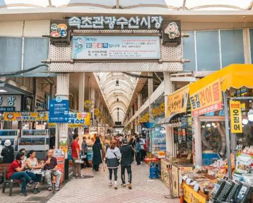 Gangwon-do (Sokcho) | 3-Hour Taxi Route for Foreigners