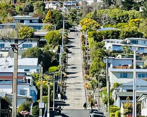 【紐西蘭旅遊】新享紐西蘭～庫克山國家公園、天際纜車蒸汽船、但尼丁風情、米佛峽灣遊覽船10日