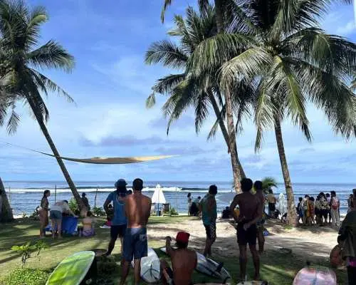 锡亚高岛北部冲浪课程，学员在热带椰子树下休憩，感受未受破坏的原始岛屿风情，享受悠闲时光。