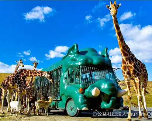 【日本旅遊】KHH九州FUN心玩～自然動物園、KITTY樂園、滑雪場玩雪盆、旅人列車雙溫泉五日