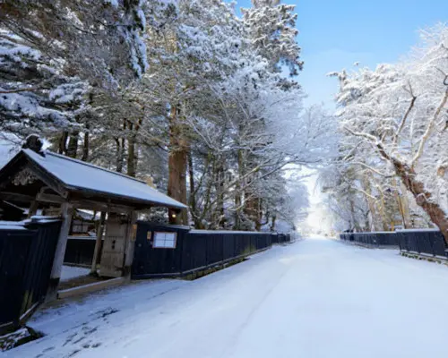 【日本旅遊】【蘋安賀歲，預購減3000】阿仁樹冰纜車、津輕暖爐列車、溫泉百選飯店、星野青森屋飯店五日(不進免稅店)