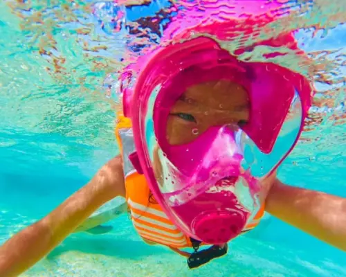 Perfect for overseas visitors! Snorkeling & Clear Sap [90 minutes] Near Jangria, Churaumi Aquarium, and Kouri Island! Free high-resolution underwater photography ♪♪