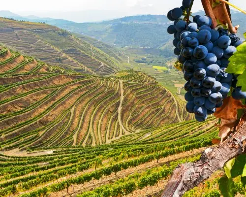 【歐洲旅遊】Ola經典葡萄牙～酒香波爾圖、馬爾旺城堡、杜羅河谷火車、世界文化遺產10日