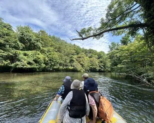 【北海道・千歳川】⭐︎安定感抜群のボートツアー〈標準コース〉◎透明度抜群！大自然の中、生き物たちを探しながら大冒険の川下りに出かけよう！