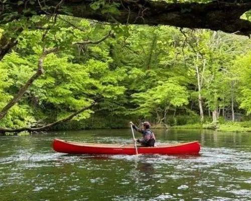 【北海道・千歳川】《カナディアンカヌー　標準コース》息を呑む大自然！透明度の高い千歳川をカヌーでくだり、豊かな森へ出かけよう！