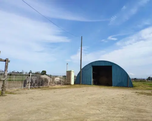 北海道恵庭市の典型的な牧場風景。青いアーチ型の馬舎と柵に囲まれたエリアが明るい空の下に広がり、道産子乗馬トレッキング施設の一部です。