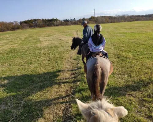 北海道での道産子乗馬トレッキングツアー中の馬上からの視点。恵庭市の太陽が降り注ぐ緑の野原を進む騎手たちが自然を満喫しています。