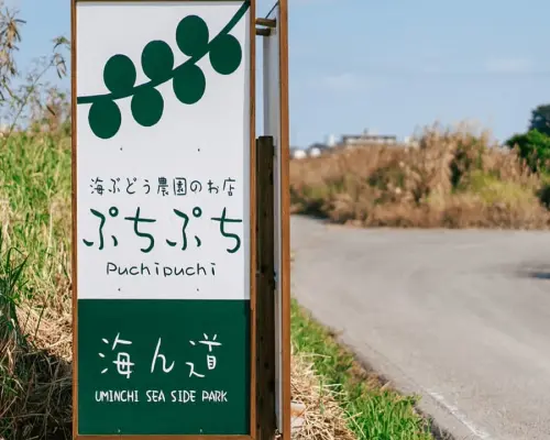 【日本旅遊】沖繩暢遊趣～光影水族館、古宇利海洋塔、東南植物園、海葡萄特色餐四日