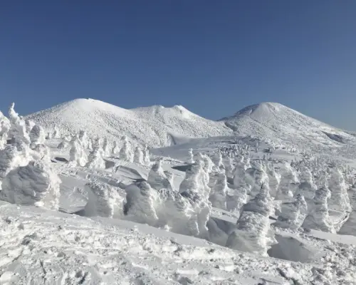 【青森・八甲田】「手ぶらで」八甲田樹氷スノーシューツアー