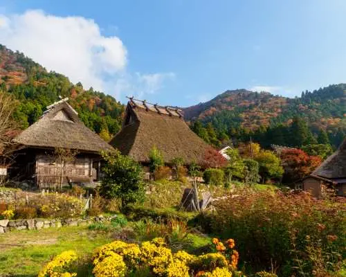 2025.10.24包團～京都天橋立一日遊｜伊根灣遊船・天橋立・美山茅草屋之里・半蟹海鮮鍋套餐｜Welina Hotel Premier Nakanoshima EAST出發
