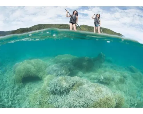 【鹿児島・奄美大島・マリンスポーツ】海遊びを満喫！お得なレンタルセットプラン
