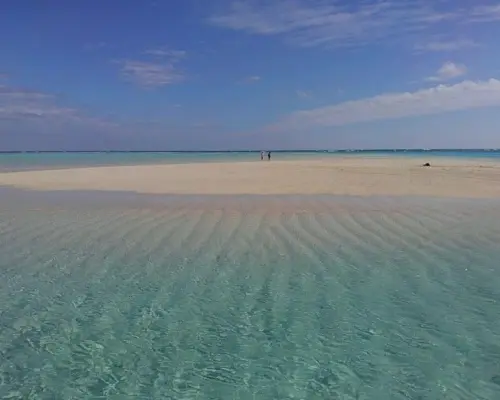 【鹿兒島、與論島】在百合之濱乘坐玻璃底船觀賞海龜“LOOK海龜之旅”
