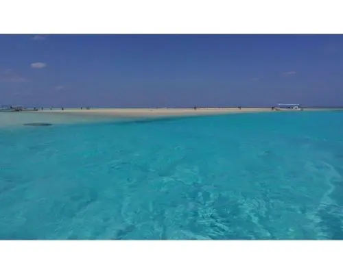 【鹿兒島、與論島】在百合之濱乘坐玻璃底船觀賞海龜“LOOK海龜之旅”