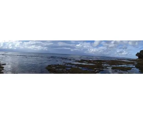[鹿兒島、沖永良部島] B.海灘之旅路線「海岸線漫步，介紹奇異的岩石和海龜觀景點」 駕車旅行