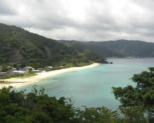【鹿児島・奄美大島】　マテリア滝と湯湾岳「パワースポット散策ツアー」マングローブのカヌー追加OK!（１日）