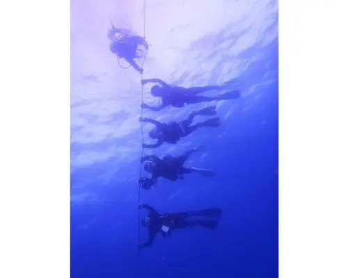 [Fukuoka] Experience diving! [Round-trip transportation to the sea included]