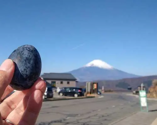 [Mt. Fuji + Hakone Day Trip] Owakudani Ropeway & Hakone Shrine & Lawson Convenience Store & Nikkawa Clock Shop & Arakurayama Sengen Park Day Trip | Departing from Tokyo
