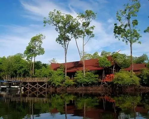 Scenic riverside lodge and wooden jetty, surrounded by lush Semporna mangroves, where river cruise guests enjoy afternoon tea and dinner.