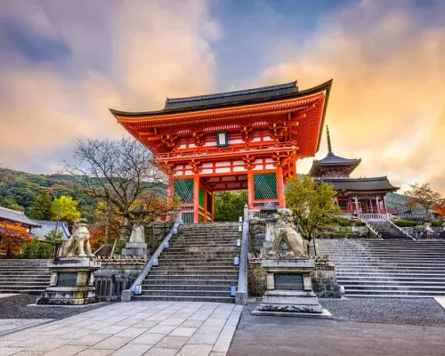 【日本旅遊】關西秘境～天空竹田城跡、美山合掌村、伊根灣遊覽船、姬路美饌溫泉五日