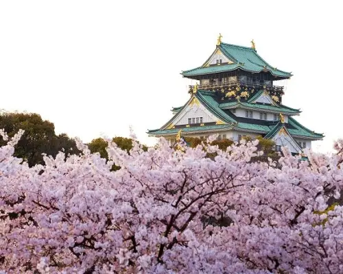【日本旅遊】連休關西月正圓～淀川背割堤、嵐山渡月橋、有馬溫泉老街、京阪神奈悠遊五日