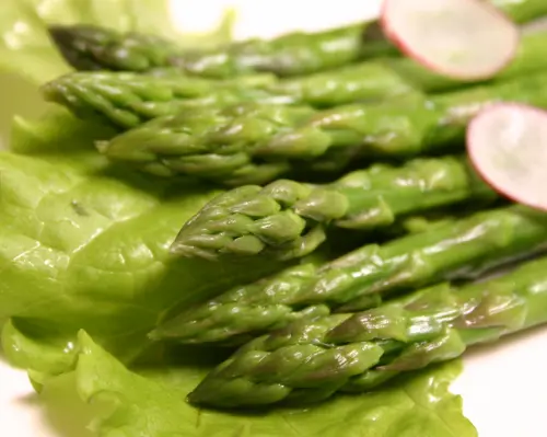 Hokkaido, Tomakomai/Shiraoi | Local Cuisine Kita no Lamp Tei | Seat Reservation Only