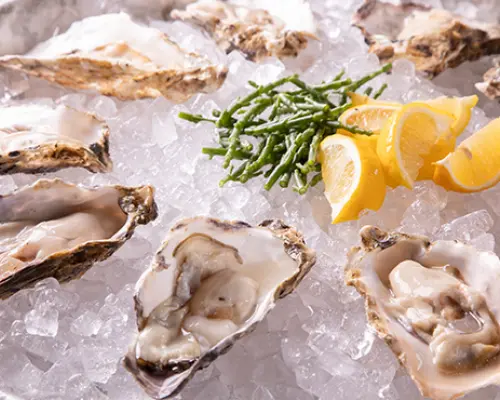 東京本鄉/東京大學附近 | 5108 MUSSEL&GIN ALSO 酒吧 (5108 MUSSEL&GIN ALSO) |僅座位預訂