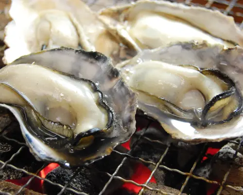 兵库县赤穗/上郡 | 海鲜批发商店 |仅座位预订