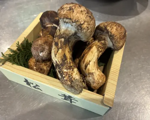 小岩/新小岩，東京| 海鮮Wagokoro 浦良 |僅座位預訂