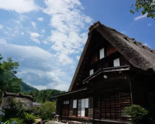 【日本旅遊】花現雪壁亮晶晶～立山黑部、初夏紫陽花祭、合掌村兼六園、中部福朋喜來登六日