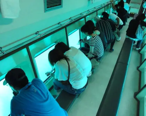 【日本旅遊】漫步北海道～帶廣馬車吧、積丹海底遊覽、富良野彩之丘、三大蟹溫泉香五日