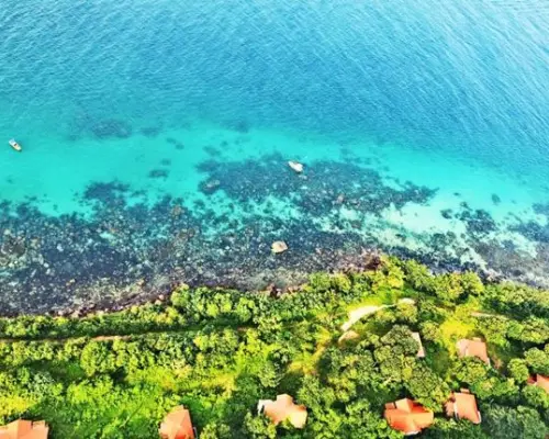 【越南旅遊】TXG星宇直飛富國島～野生動物園、跨海全景纜車、地中海小鎮、五星飯店自助餐五日