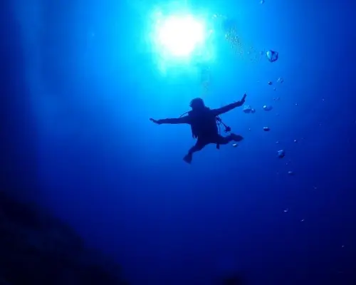【沖縄・宜野湾】グループ貸切！！お手軽ボートダイビング！（写真データプレゼント・器材レンタル無料）