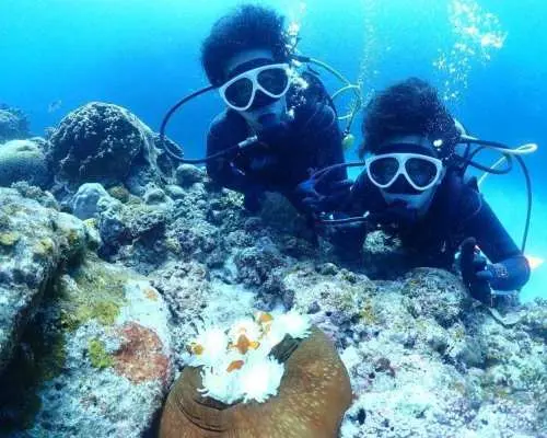 世界中で潜れる国際カード【PADI・CMAS・NAUIその他】ダイビングライセンスが8,800円から！