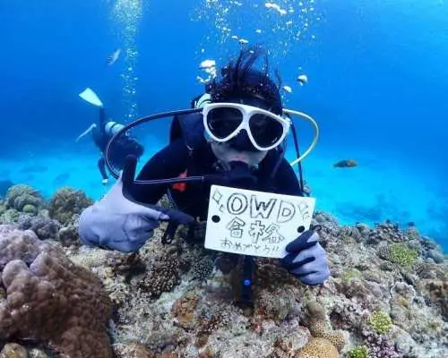 世界中で潜れる国際カード【PADI・CMAS・NAUIその他】ダイビングライセンスが8,800円から！