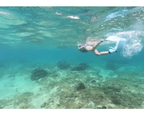 [Okinawa Main Island - Group Discount] Certification Course - Snorkeler Certification - Ages 7 and up