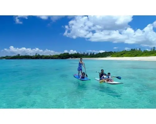 [Churaumi Aquarium, Nakijin Village, and other hidden beaches!] Private tour for one group! SUP & skin diving experience!
