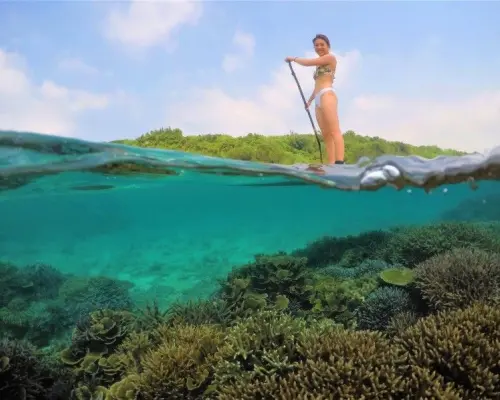 [Churaumi Aquarium, Nakijin Village, and other hidden beaches!] Private tour for one group! SUP & skin diving experience!
