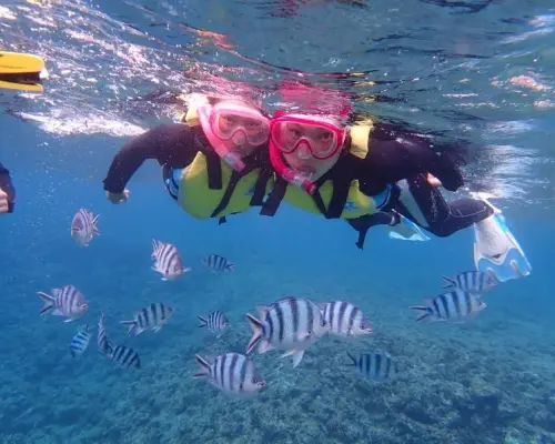 1組貸切【沖縄・青の洞窟シュノーケル】写真・GoPro動画・エサあげ無料★青の洞窟シュノーケル ♪