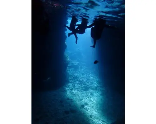 1組貸切【沖縄・青の洞窟シュノーケル】写真・GoPro動画・エサあげ無料★青の洞窟シュノーケル ♪