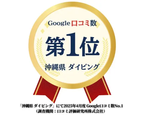 2025年4月度Google口コミ数「沖縄ダイビング」第1位！【那覇発・半日・慶良間諸島】海ガメに逢える!?カメラレンタル付！体験ダイビング