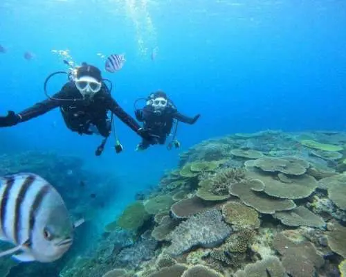 【沖縄北部・水納島・瀬底島 】ボート体験ダイビング2ダイブ 初心者大歓迎！　(10歳から参加OK) 　写真・動画無料プレゼント！