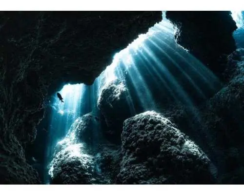 [Minna Island/Sesoko Island] Two boat fun dives (license holders) Free photos and videos