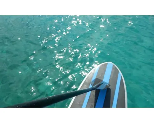 【沖縄・美ら海水族館近く】スタンドアップパドル（SUP）とシュノーケリングのセットメニュー☆高画質！GoPro動画サービス
