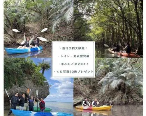 【石垣島/私人團體遊】☆吹桐川紅樹林之旅☆【1歲以上兒童皆可】私人體驗！ 95%以上遊客為初學者！保證30張高清4K照片♪