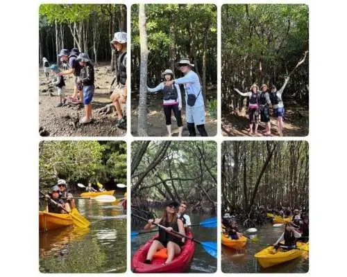 【石垣島/私人團體遊】☆吹桐川紅樹林之旅☆【1歲以上兒童皆可】私人體驗！ 95%以上遊客為初學者！保證30張高清4K照片♪