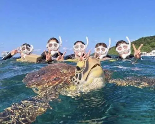 【石垣島/3時間】幻の島上陸＆高確率で会えるウミガメシュノーケルツアー★GoProデータ・機材・送迎無料｜当日予約・0〜85歳OK